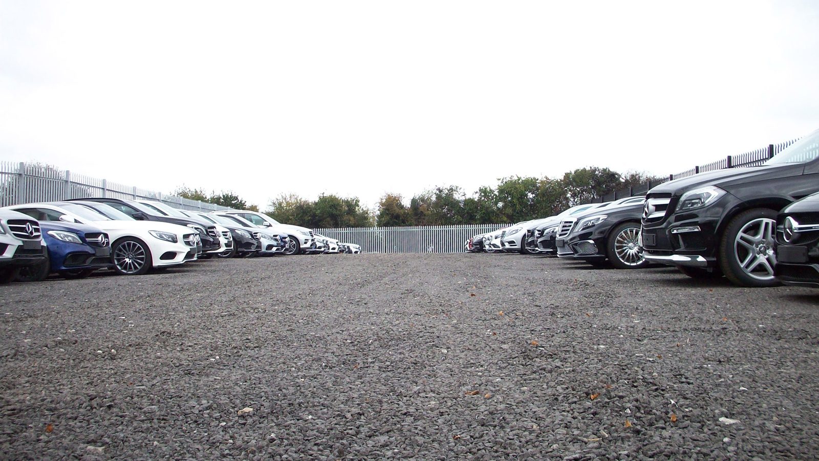 Vehicles parked at the secure TD Vehicle Solutions storage depot